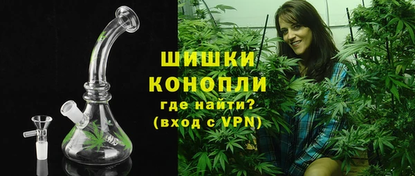 ПСИЛОЦИБИНОВЫЕ ГРИБЫ Верхнеуральск
