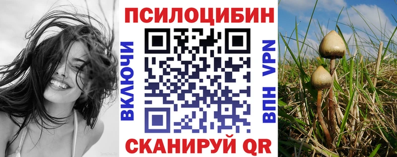 blacksprut ссылки  наркота  Краснообск  Галлюциногенные грибы прущие грибы 